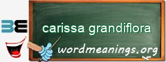 WordMeaning blackboard for carissa grandiflora